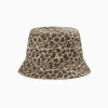 Bob June Leopard